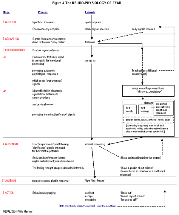 Neuro-Physiology of Fear